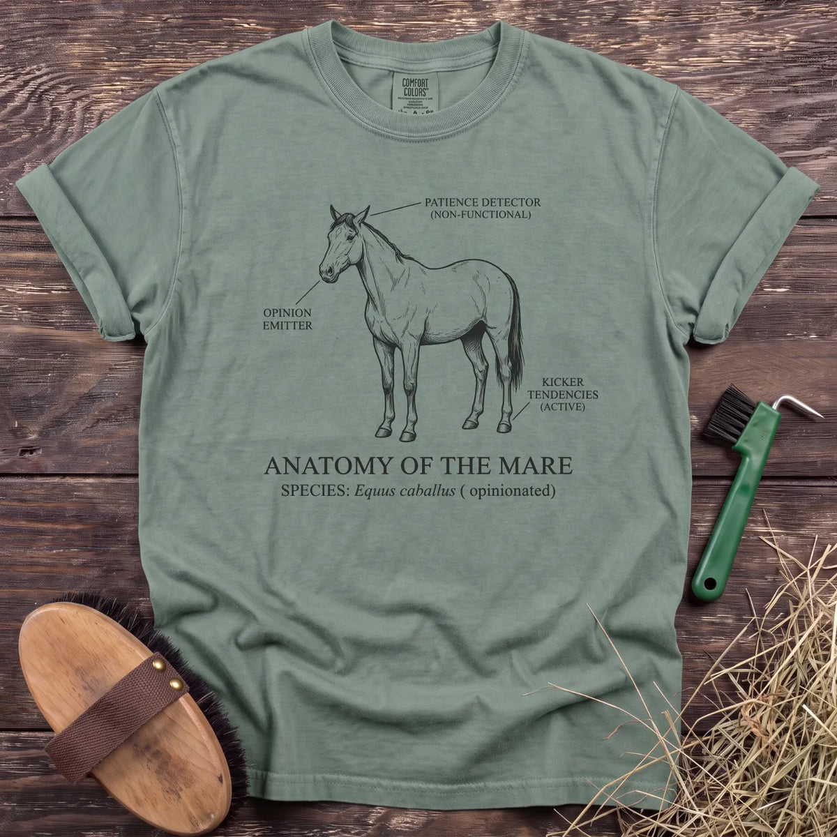 Anatomy of the Mare T-Shirt in Bay [color: Bay]