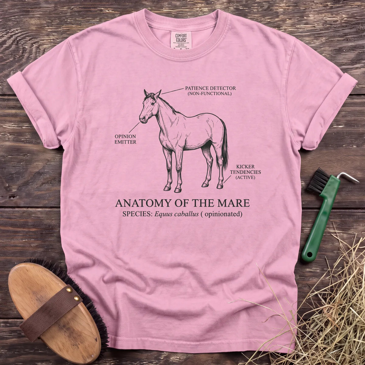 Anatomy of the Mare T-Shirt in Blossom [color: Blossom]