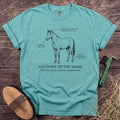 Anatomy of the Mare T-Shirt in Chalky Mint [color: Chalky Mint]