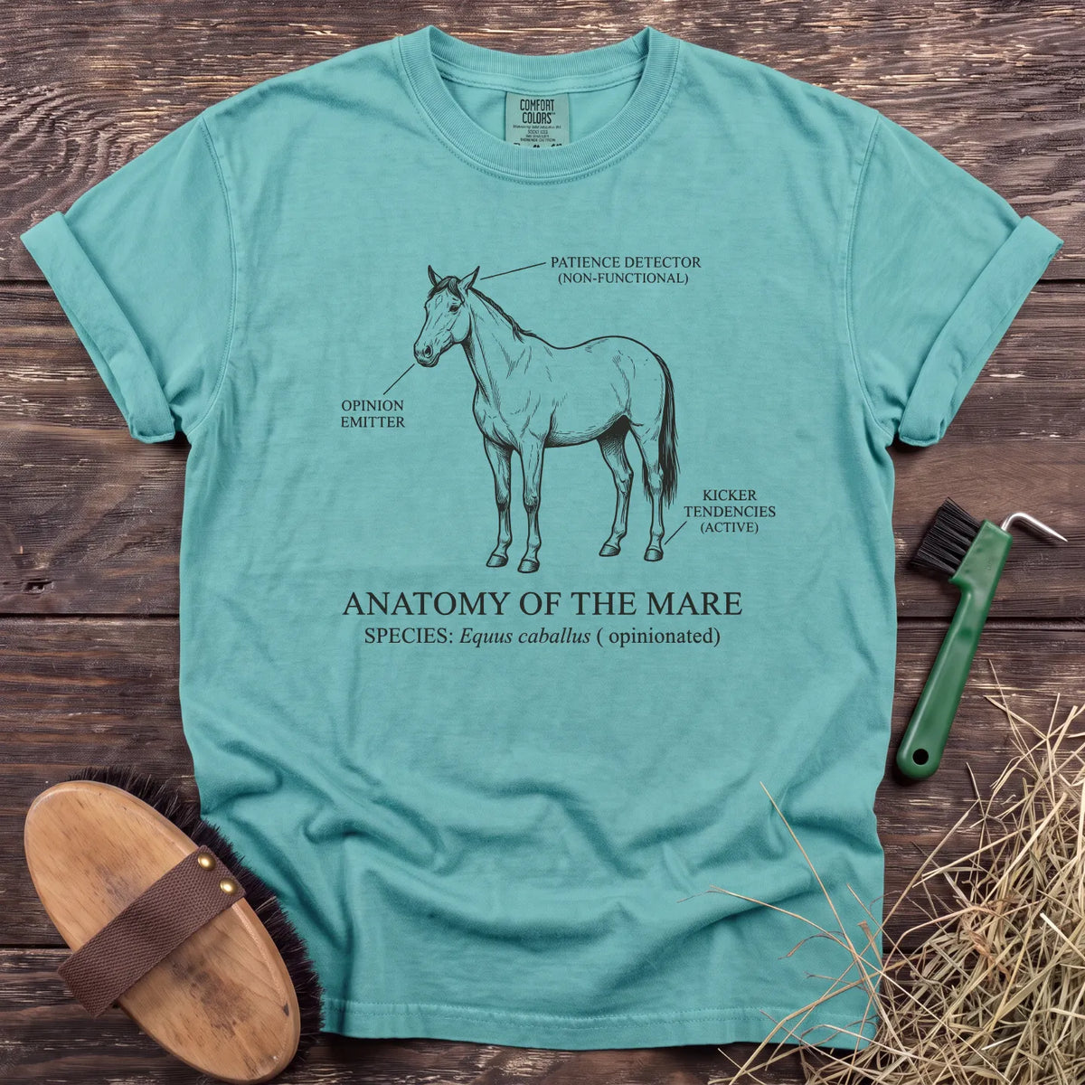 Anatomy of the Mare T-Shirt in Chalky Mint [color: Chalky Mint]