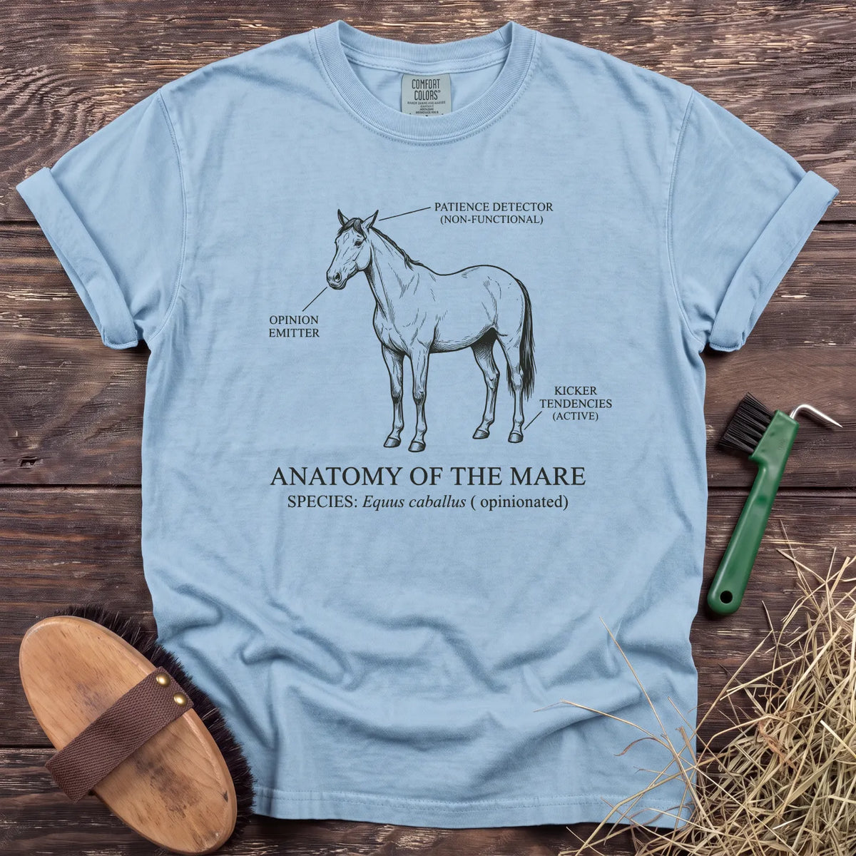 Anatomy of the Mare T-Shirt in Chambray [color: Chambray]