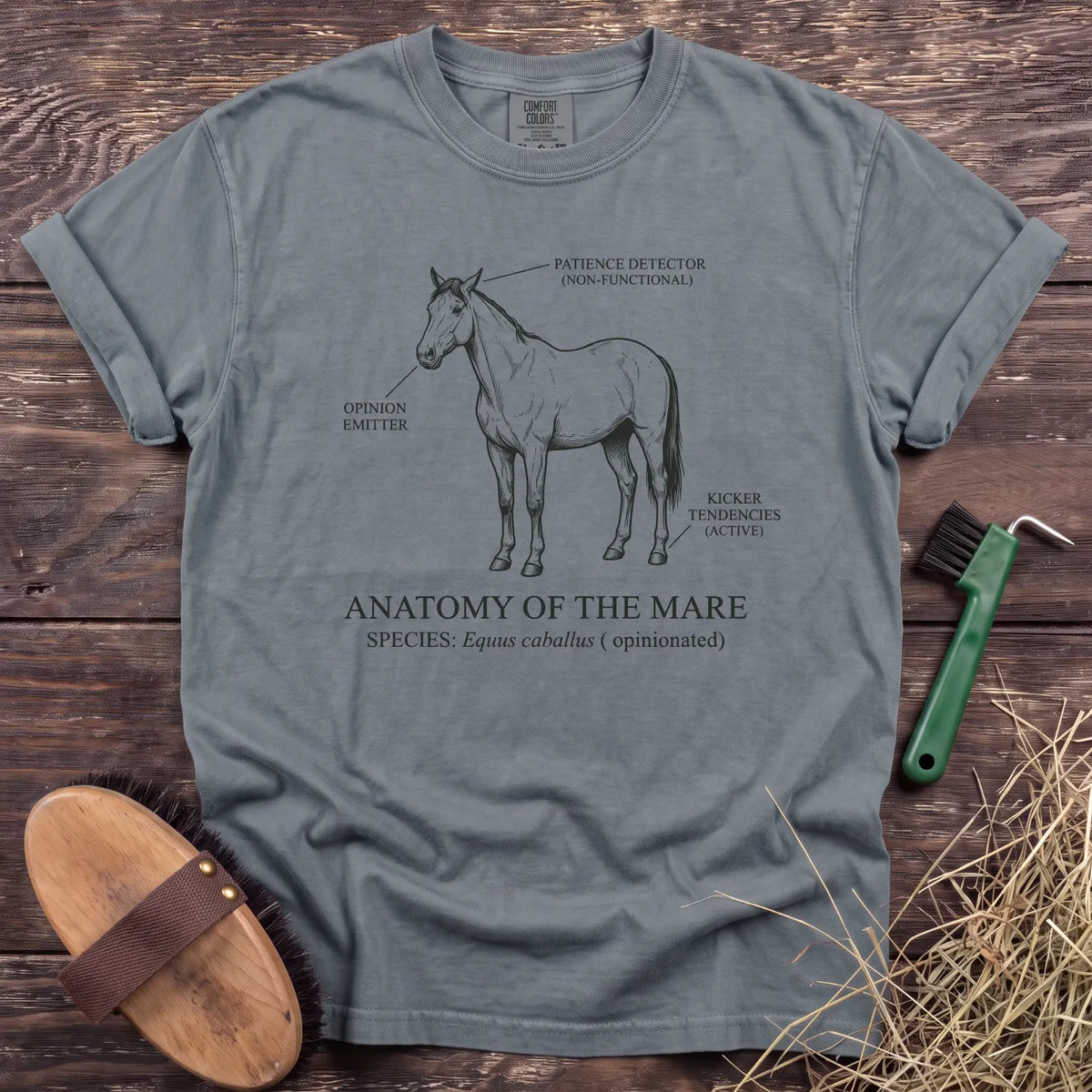 Anatomy of the Mare T-Shirt in Granite [color: Granite]