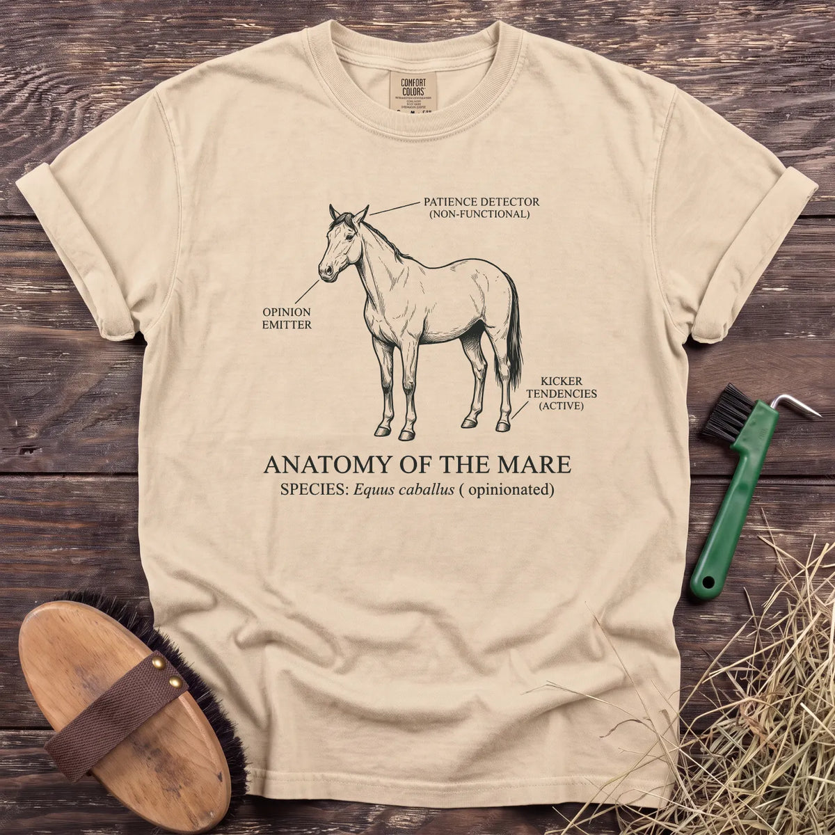 Anatomy of the Mare T-Shirt in Ivory [color: Ivory]