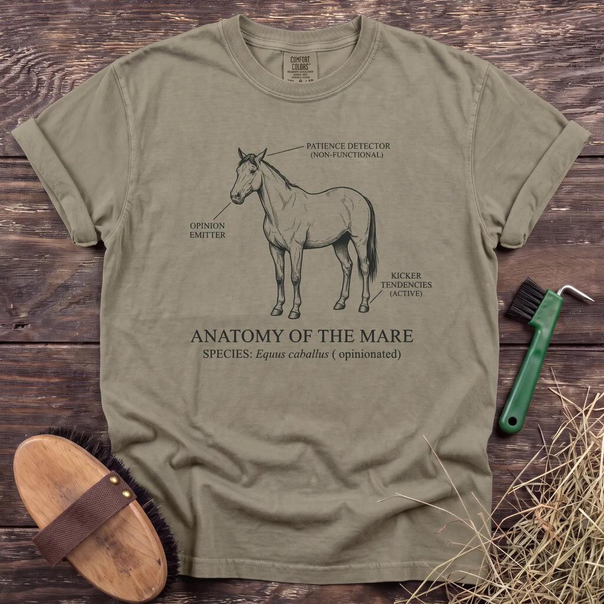 Anatomy of the Mare T-Shirt in Sandstone [color: Sandstone]