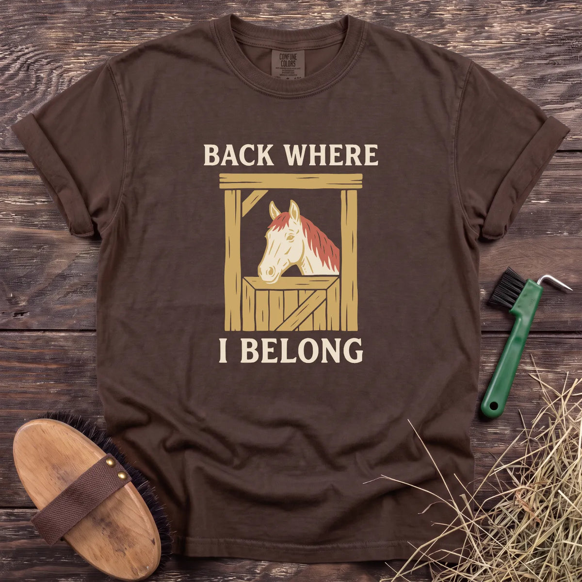 Back Where I Belong T-Shirt in Espresso [color: Espresso]