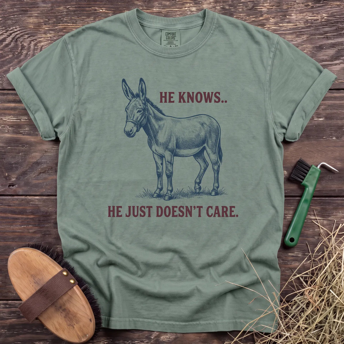 He Knows, Doesn’t Care T-Shirt in Bay [color: Bay]