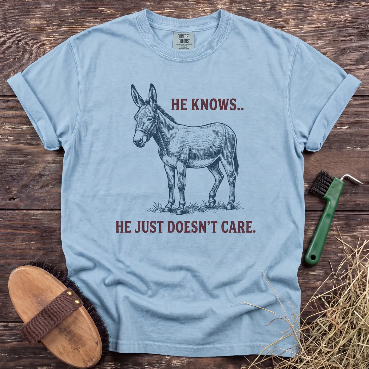 He Knows, Doesn’t Care T-Shirt in Chambray [color: Chambray]