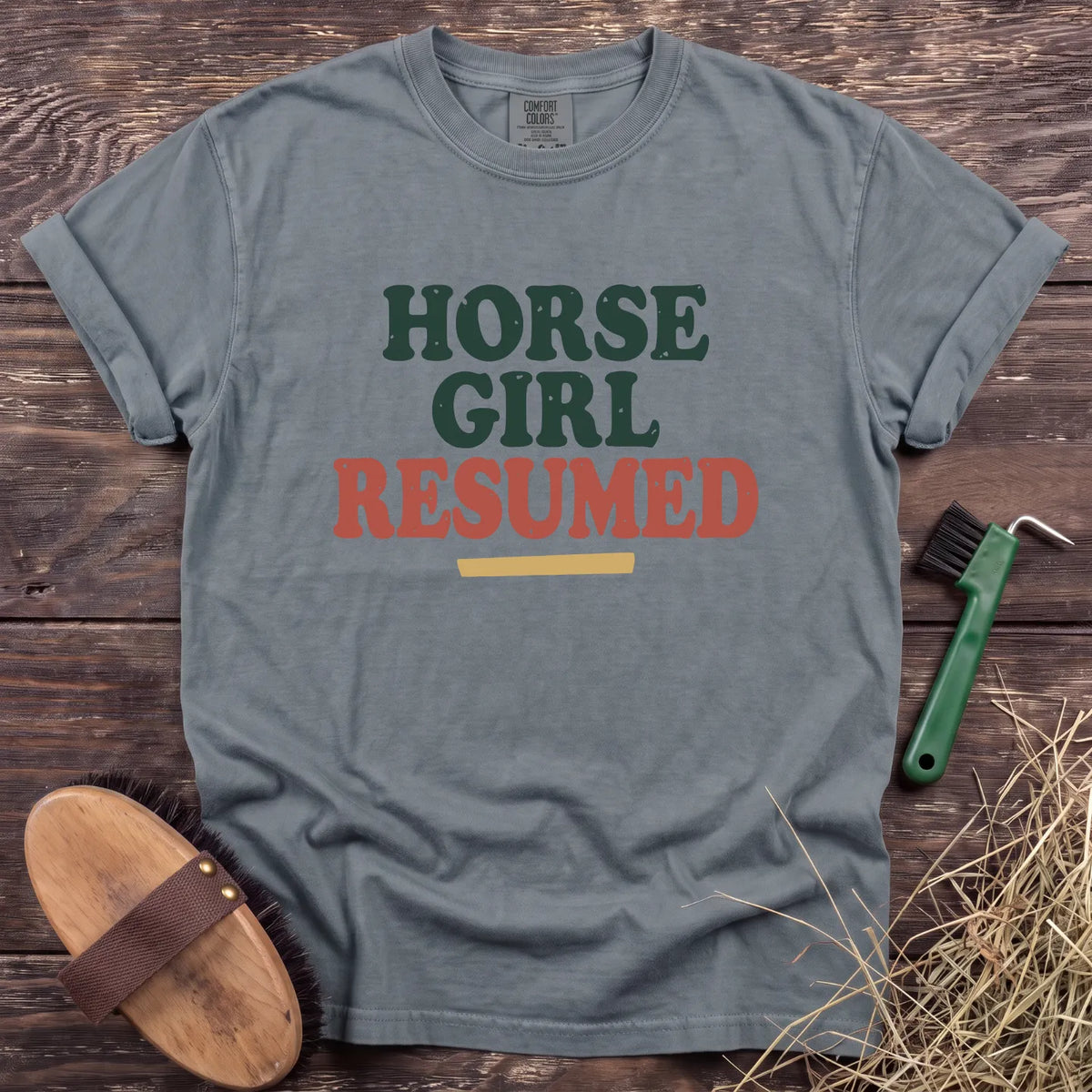 Horse Girl Resumed T-Shirt in Granite [color: Granite]