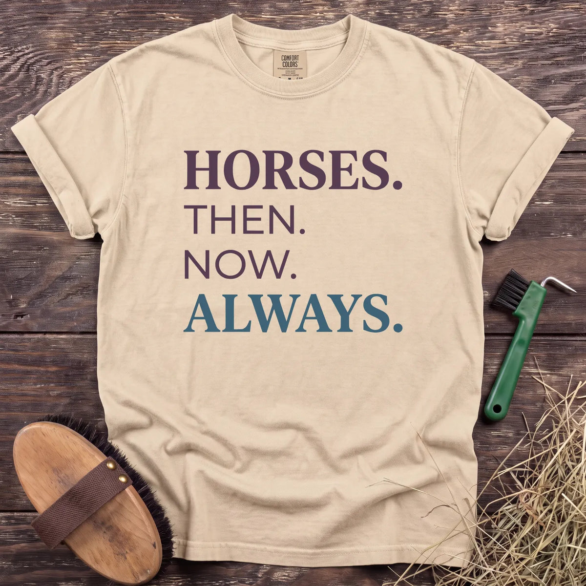 Horses Then Now Always T-Shirt in Ivory [color: Ivory]