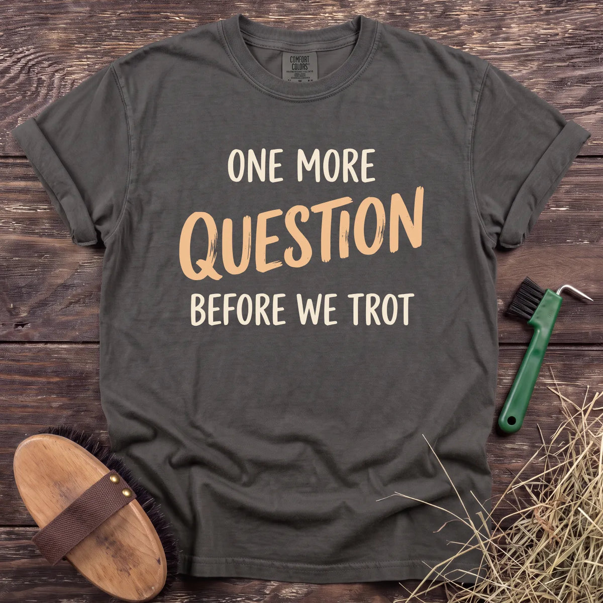 One More Question T-Shirt in Pepper [color: Pepper]